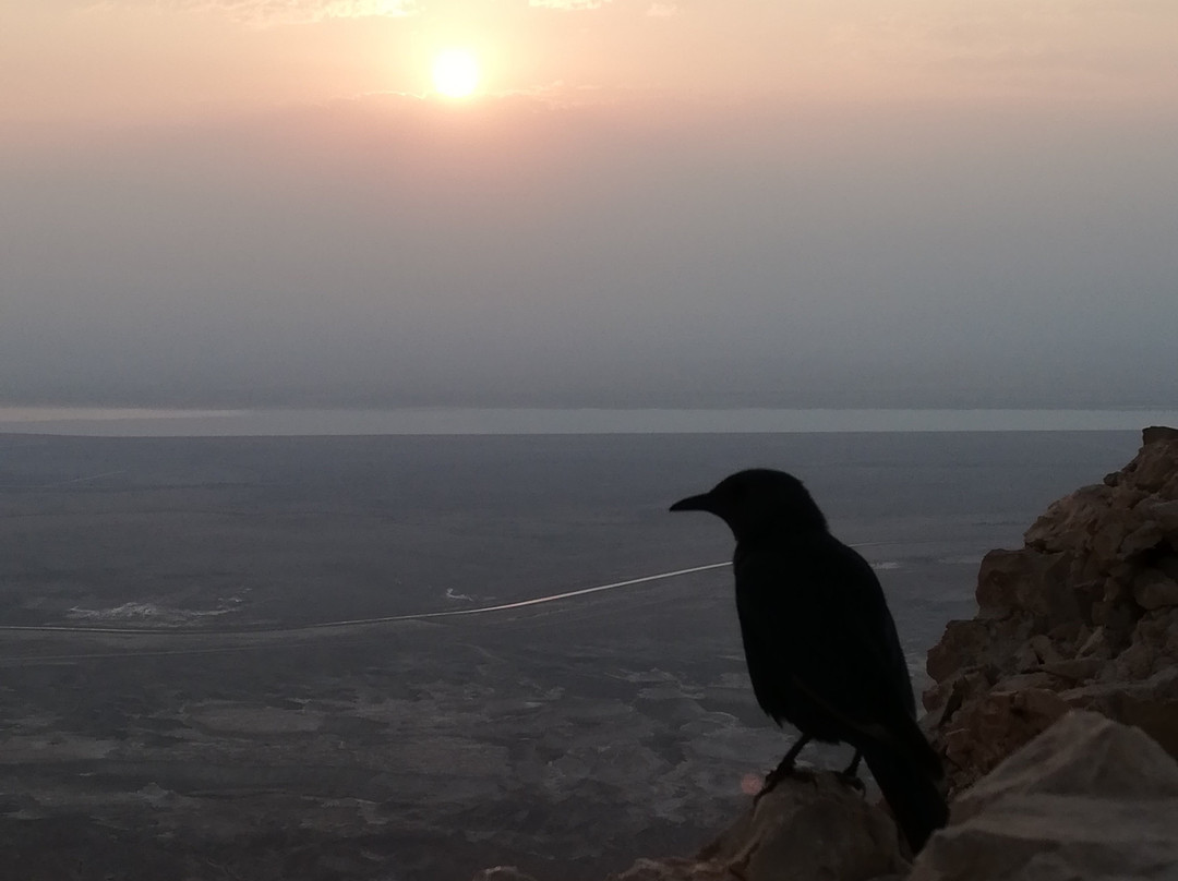 The Masada Hostel主图