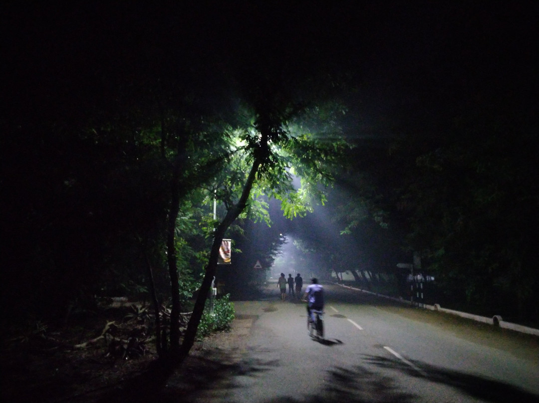 Indian Institute Of Technology景点图片
