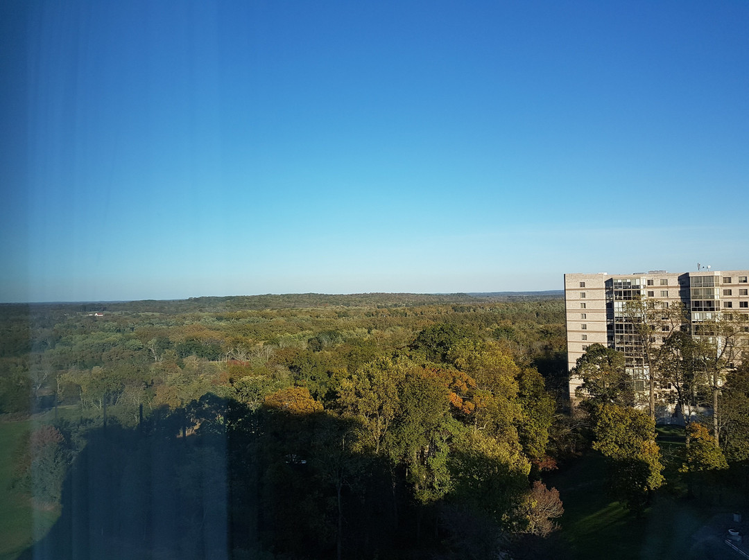 Lansdowne Resort主图