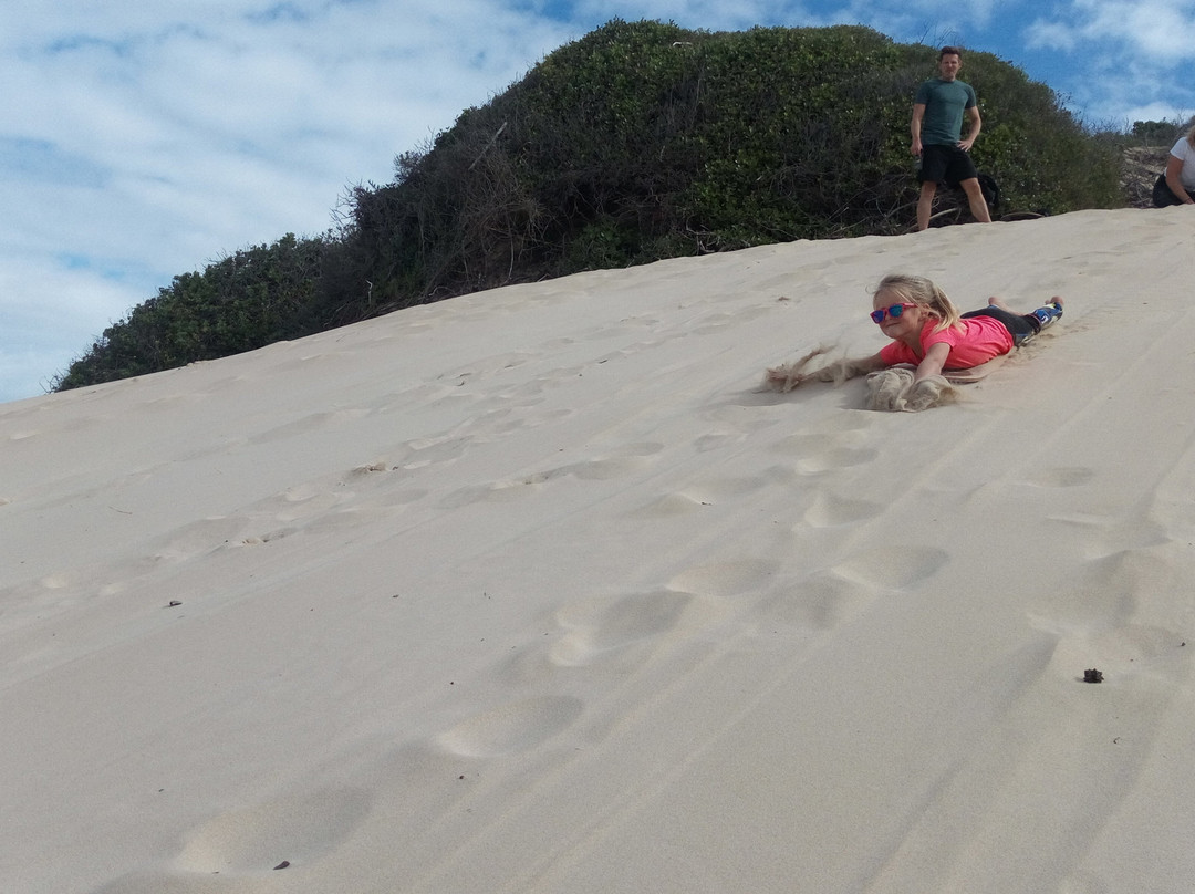 Sandboarding Jeffreys Bay - Wacky Wipeouts-杰佛瑞湾必去景点