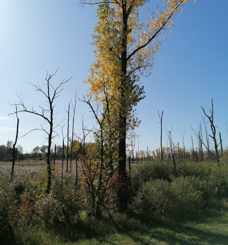 Infohaus Isarmuendung-Moos必去景点