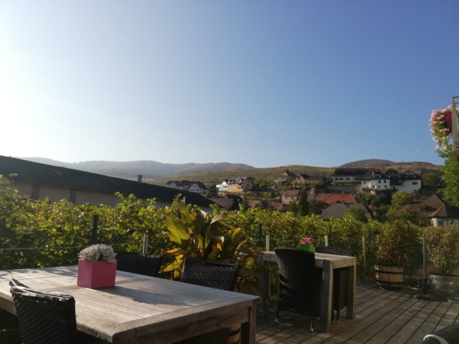 Hotel Garni Weinquadrat主图