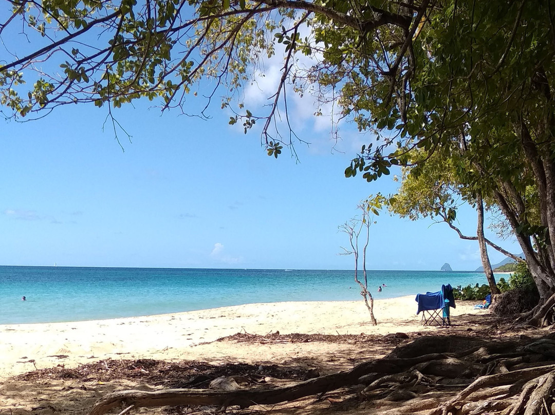 Plage des Salines-Sainte-Anne必去景点