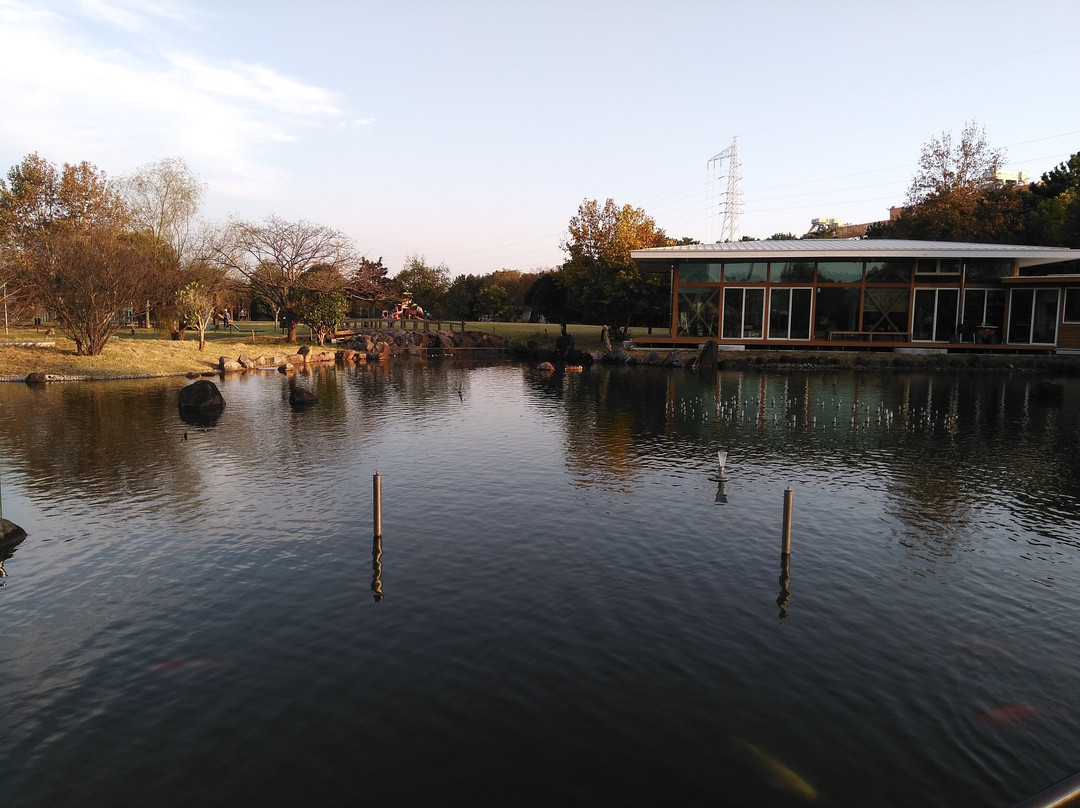 Kingyoto Koino Satohiroba-长洲町必去景点