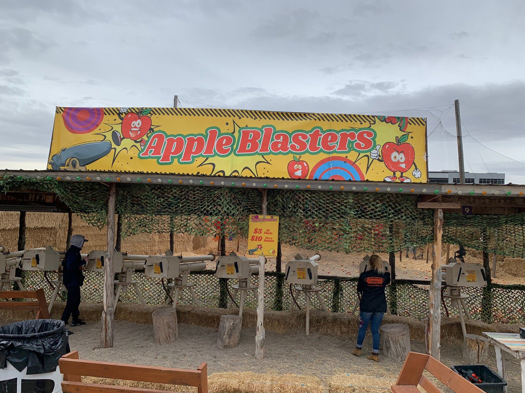 Cornbelly's Corn Maze & Pumpkin Fest景点图片