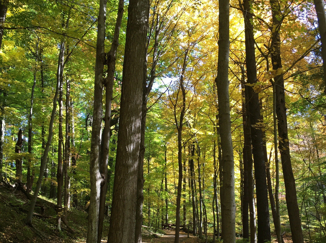 Dundas Valley Conservation Area-汉密尔顿必去景点