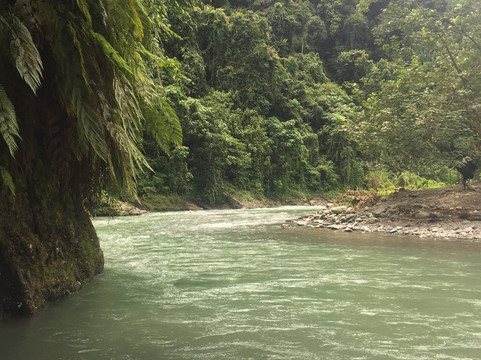Sumatran Adventure-武吉拉旺必去景点