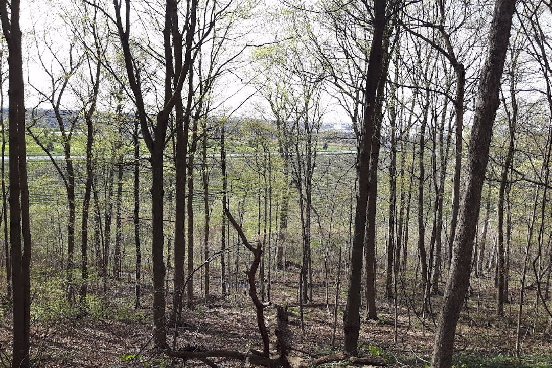 Woodend Conservation Area