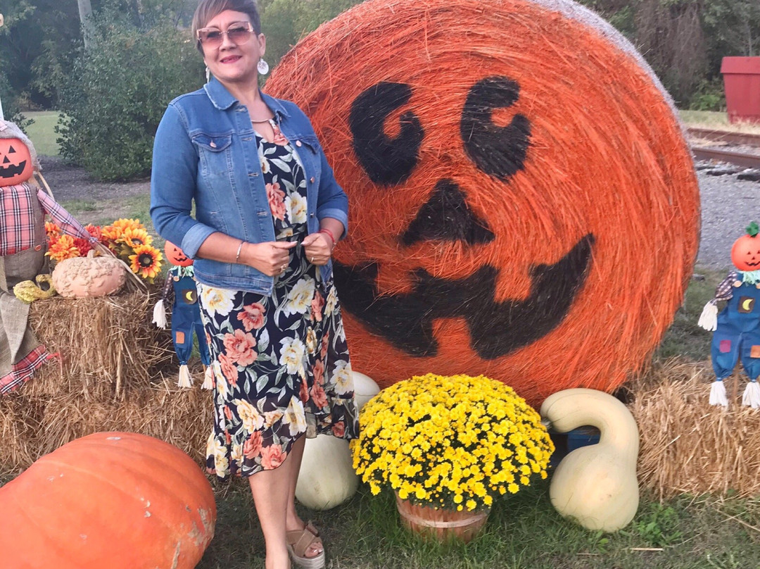 Virginia Mountain Vineyards-Fincastle必去景点