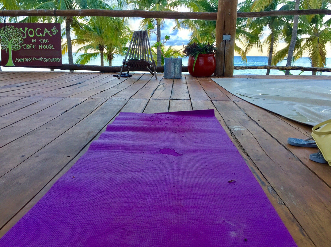 The Treehouse Yoga-女人岛必去景点