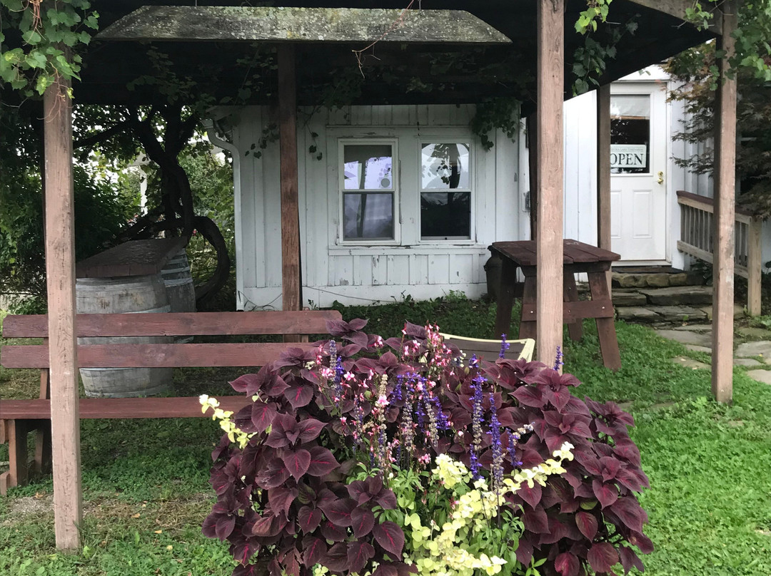 Keuka Lake Vineyards景点图片
