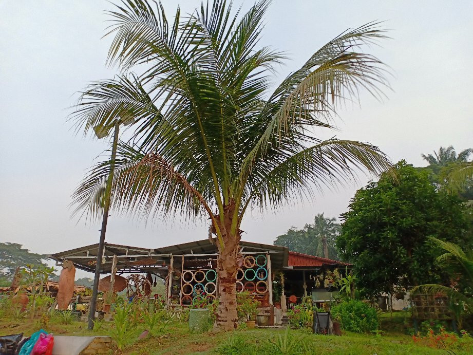Sg Lalang Hotspring景点图片