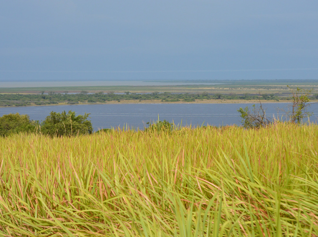 Jungleboot Africa-坎帕拉必去景点