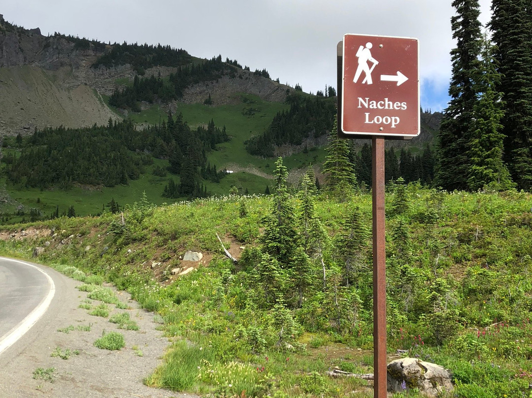 Tipsoo Lake Loop景点图片