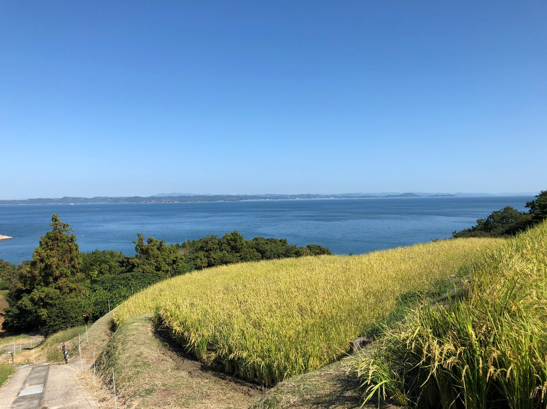 Teshima Terraced Rice Field Project景点图片