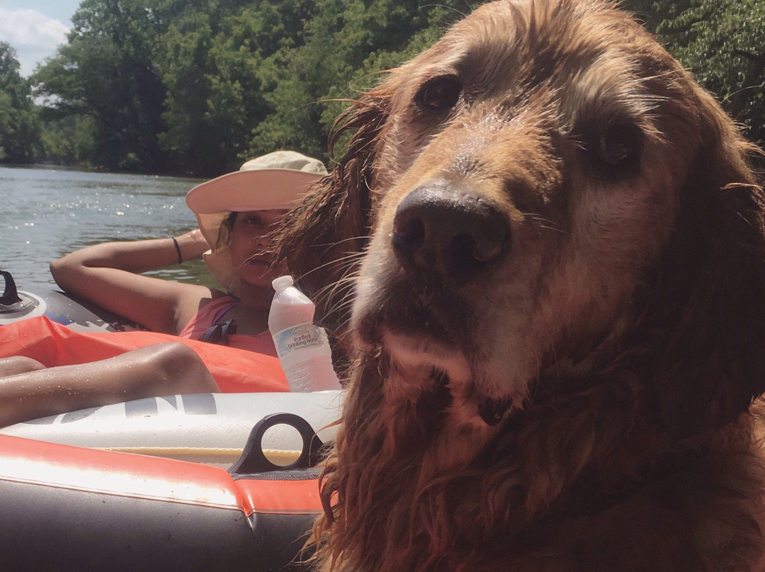 Foothills Outdoor Adventures