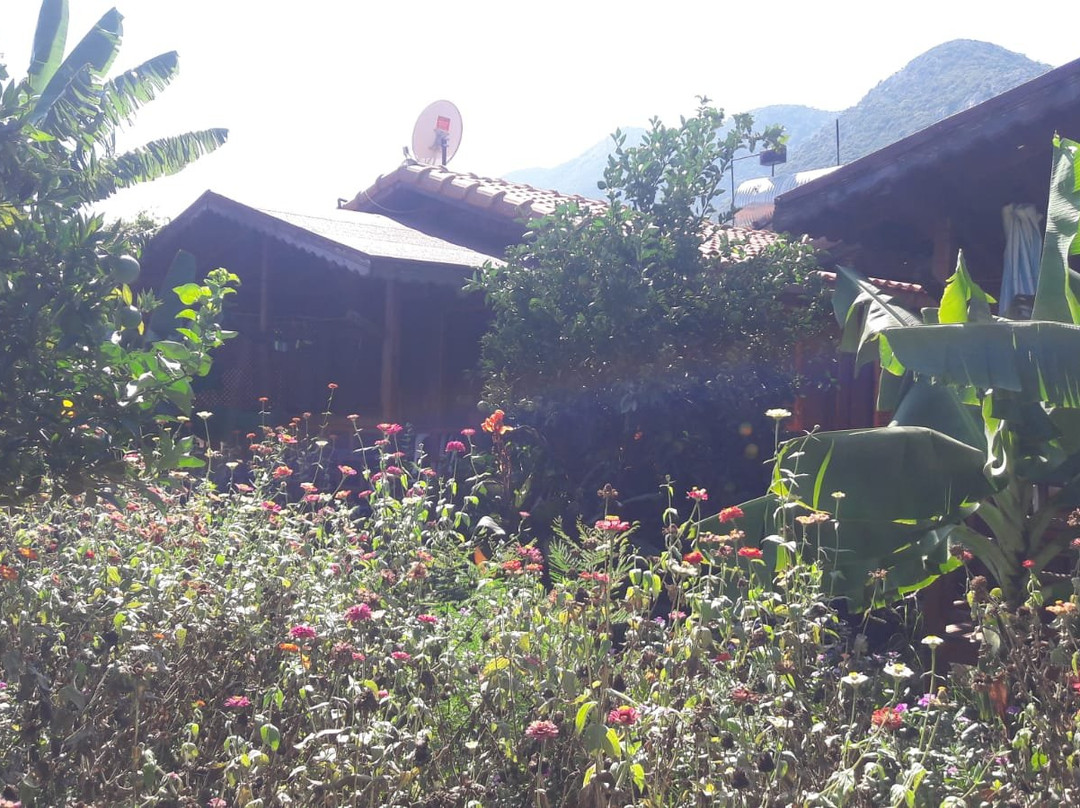 Adrasan Doga Apart Evleri