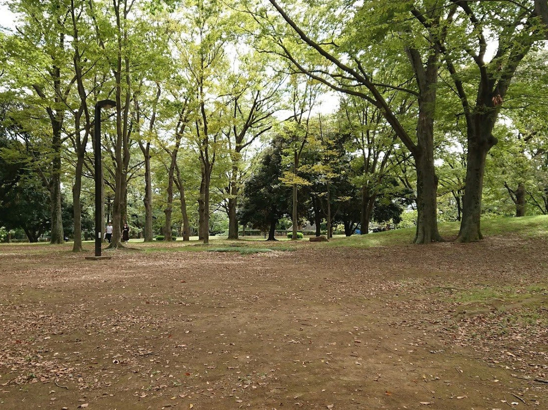 代代木公园景点图片