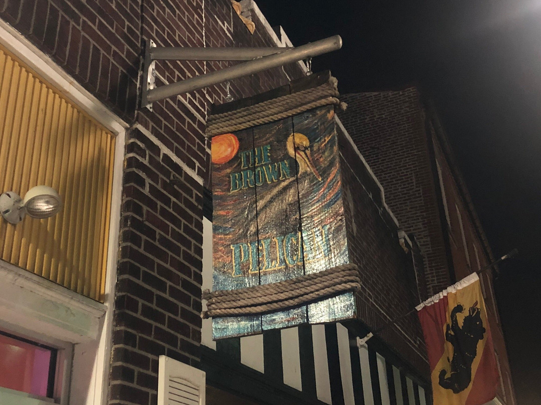 Ernul旅游景点-The Brown Pelican