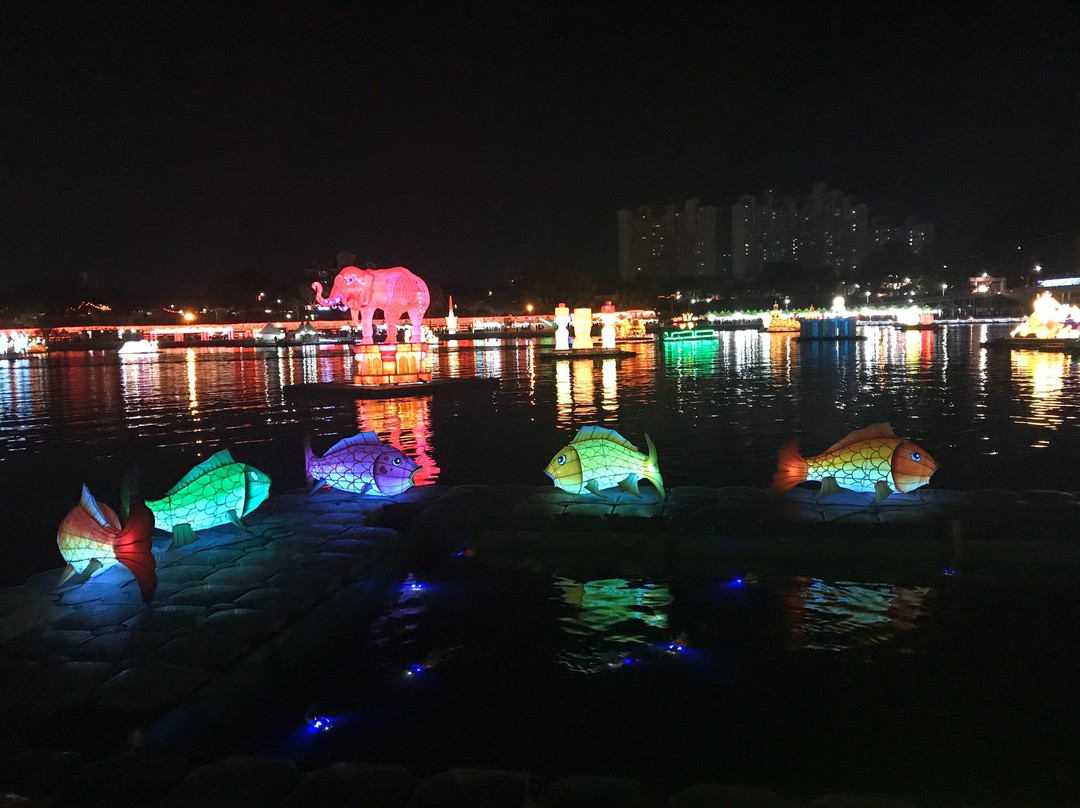 Jinju Namgang Yudeung Festival-晋州市必去景点