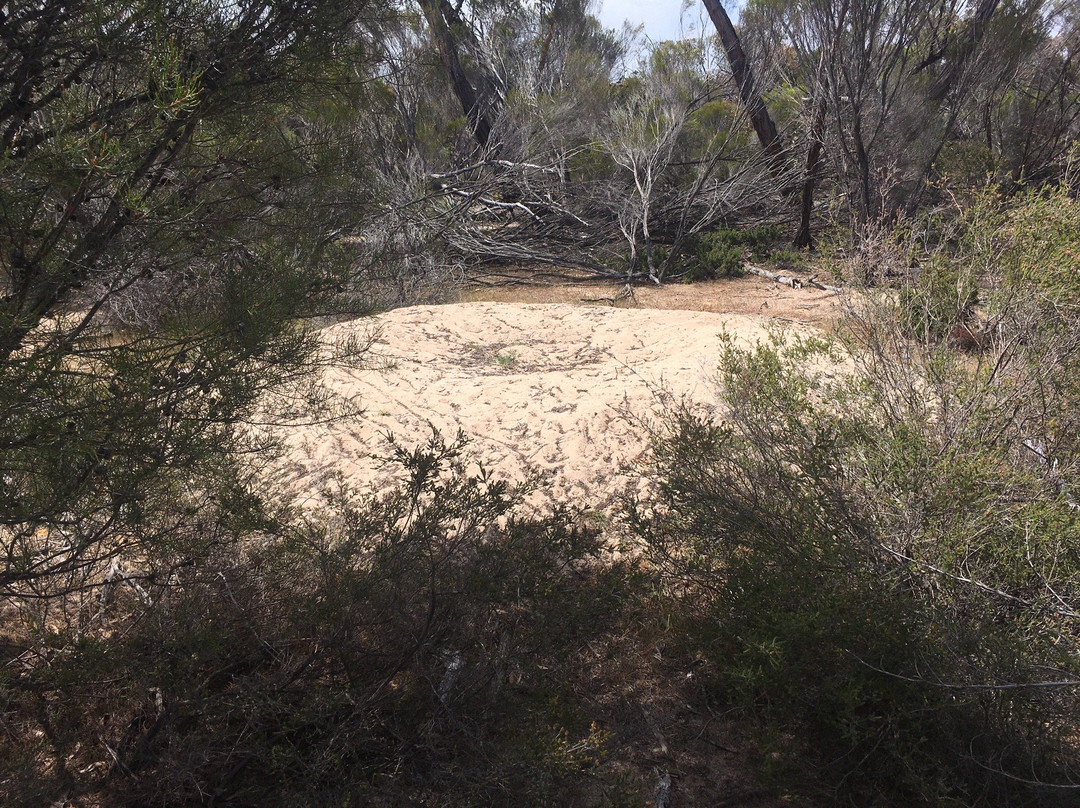 Kiata Flora and Fauna Reserve-Dimboola必去景点