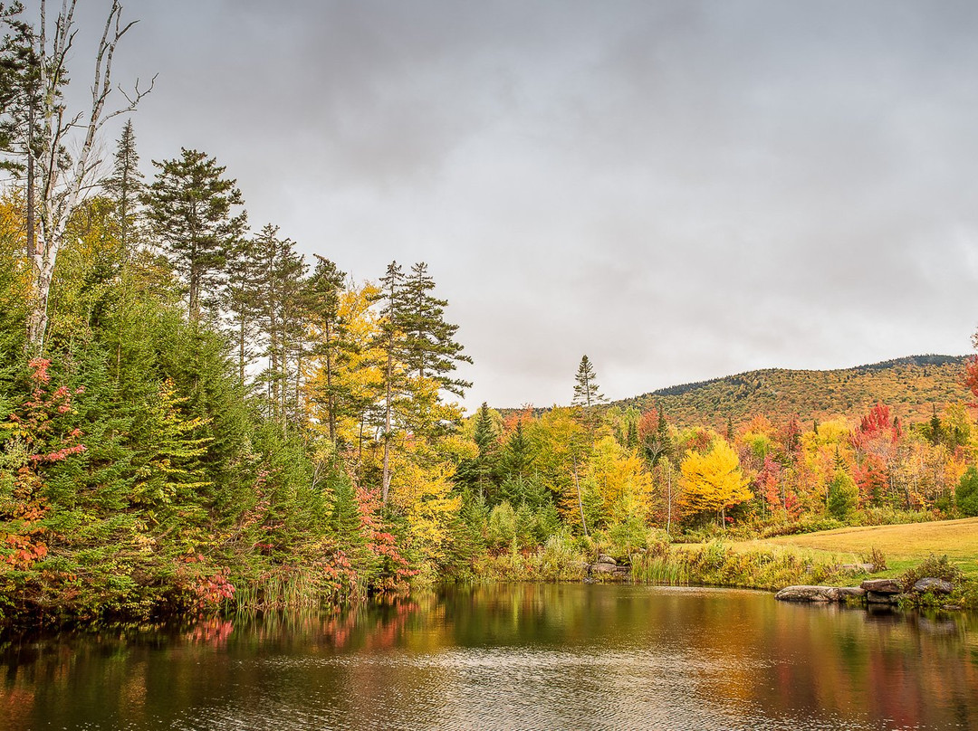 Sterling Falls Gorge-斯托必去景点