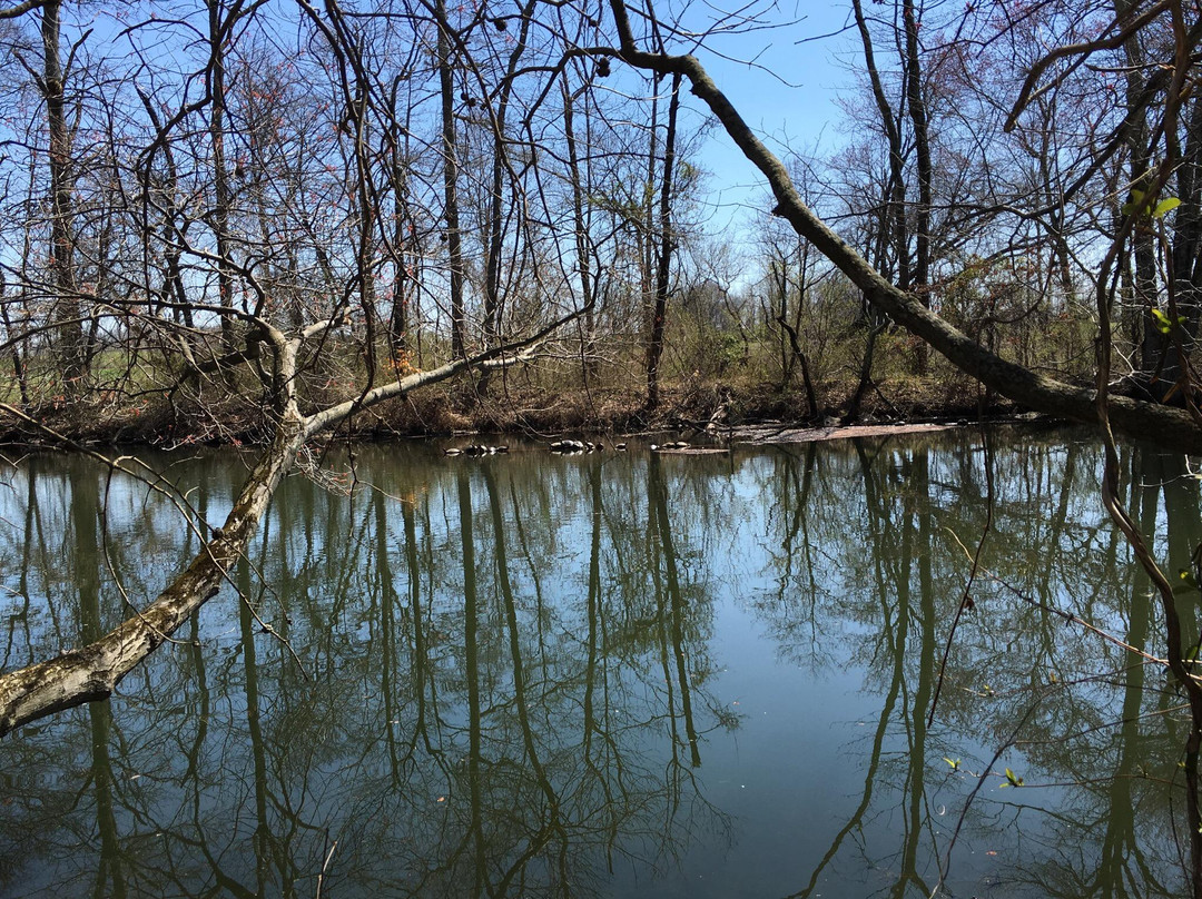 Martinsville旅游景点-Delaware and Raritan Canal State Park