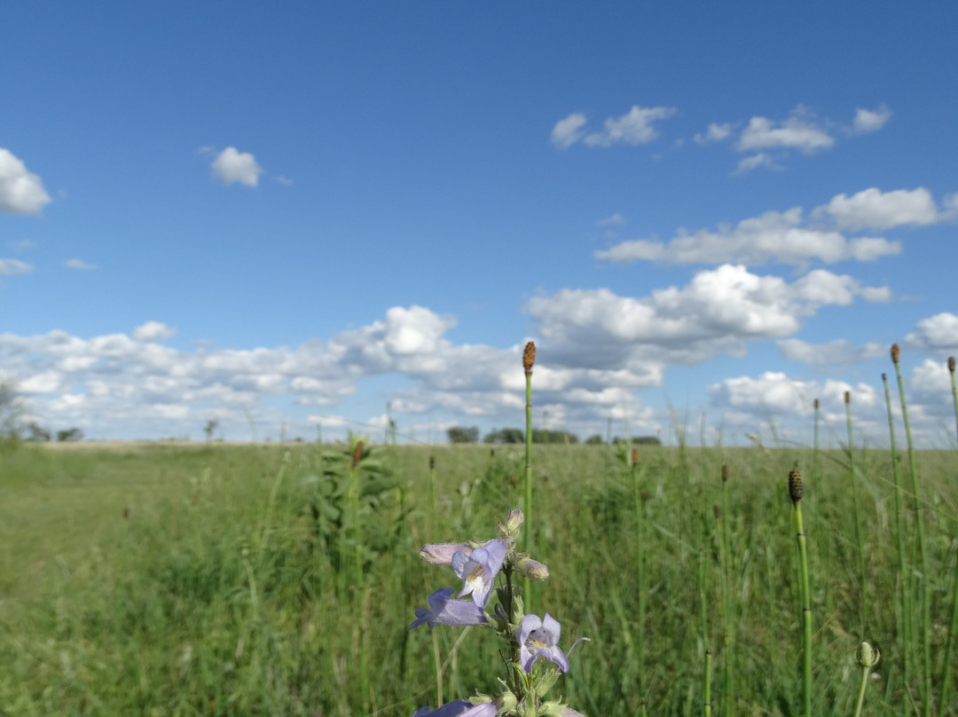 Bluestem Prairie Preserve景点图片