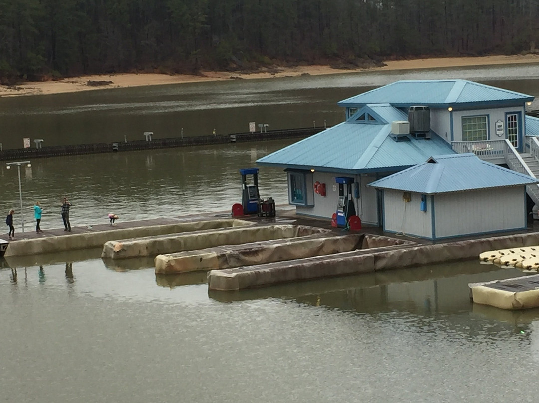 Acworth旅游景点-Park Marina