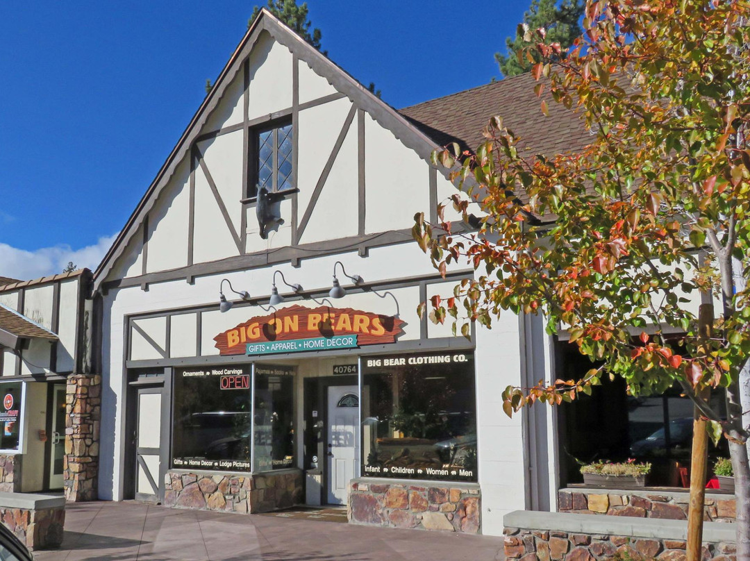 Big on Bears-大熊湖必去景点