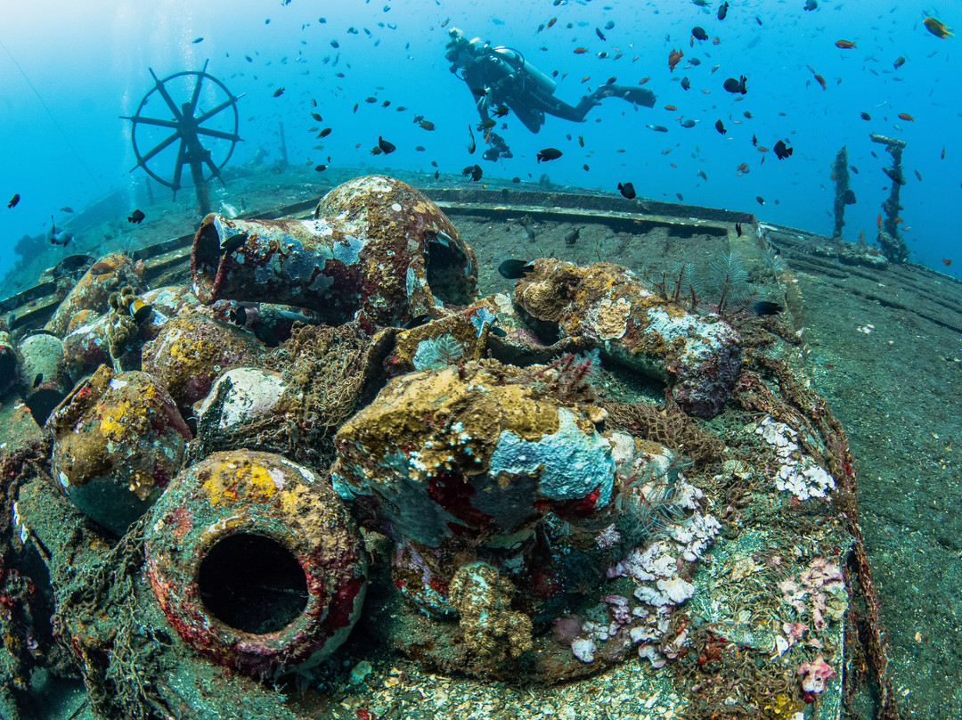 Scuba Mafia景点图片