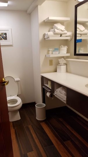 Hampton Inn Birch Run/Frankenmuth主图