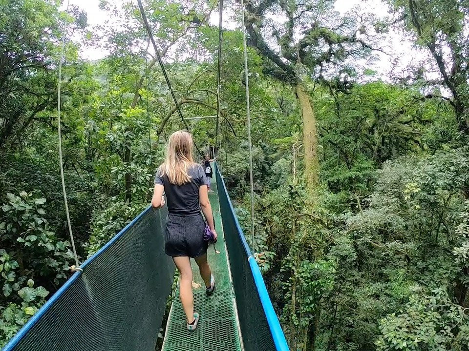 Heliconias Hanging Bridges Trails-Bijagua de Upala必去景点