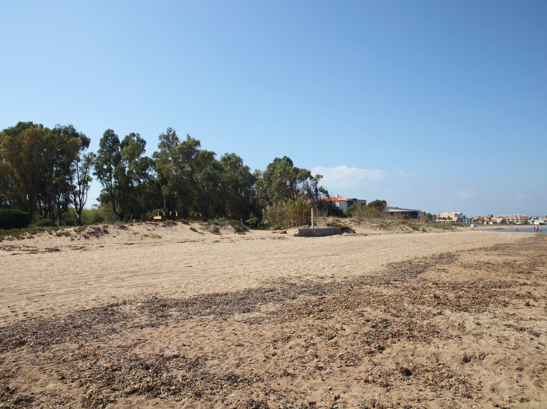 Playa Els Molins景点图片
