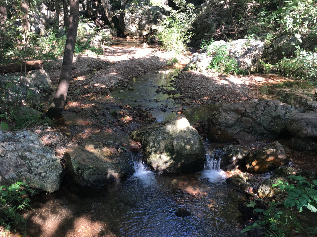 National Audubon Society-乔普林必去景点