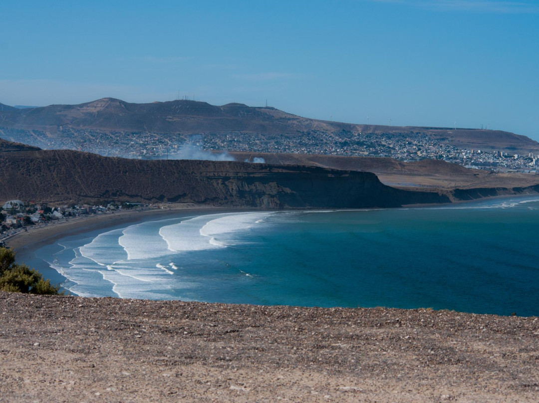 Caleta Olivia旅游景点-Reserva Natural Punta Marques