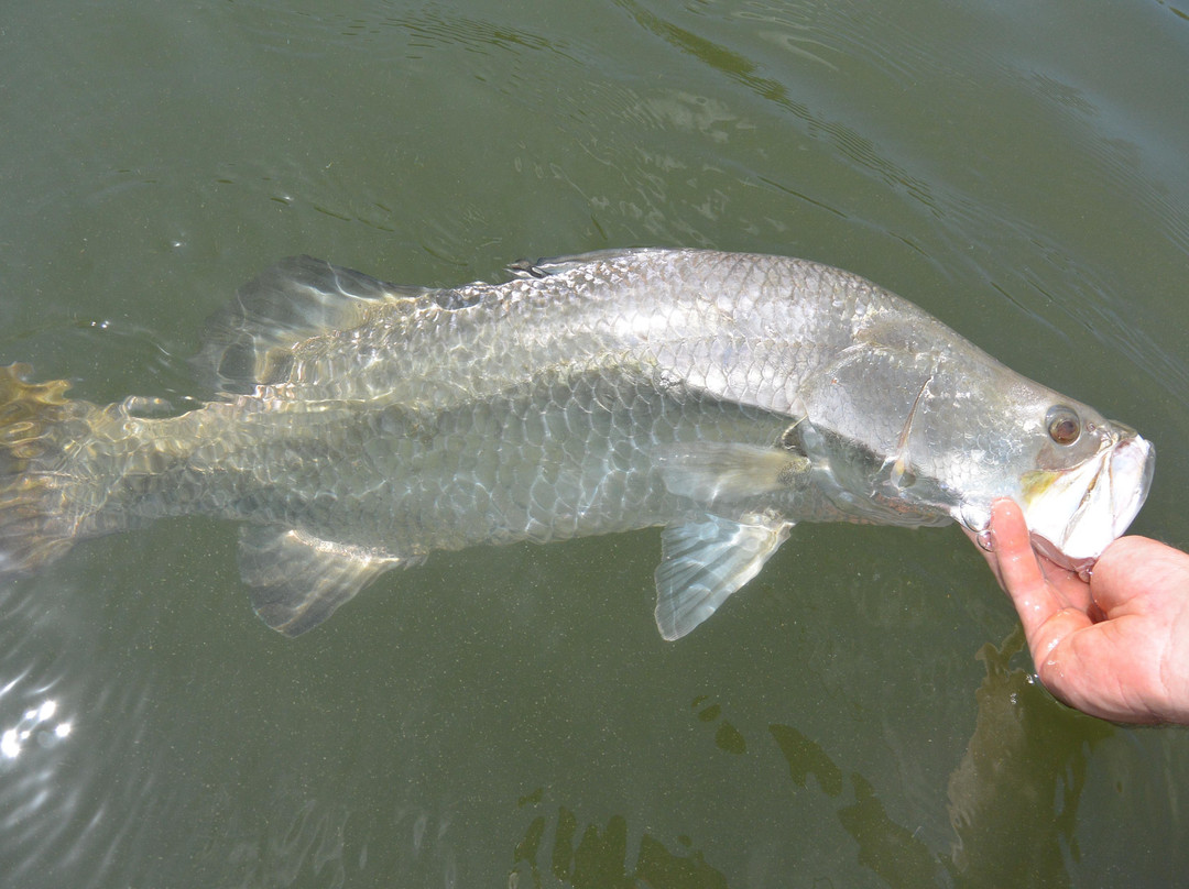 Tropical Sportfisher景点图片