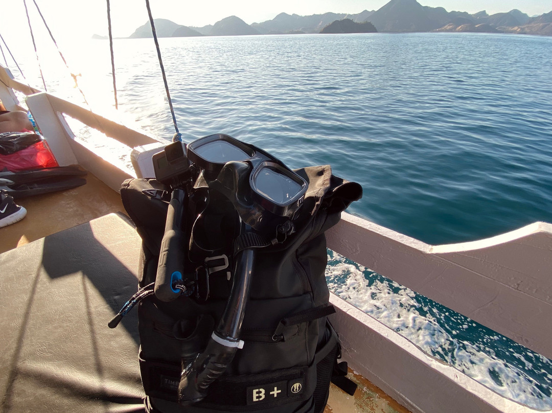 Spectacular Komodo Tours景点图片