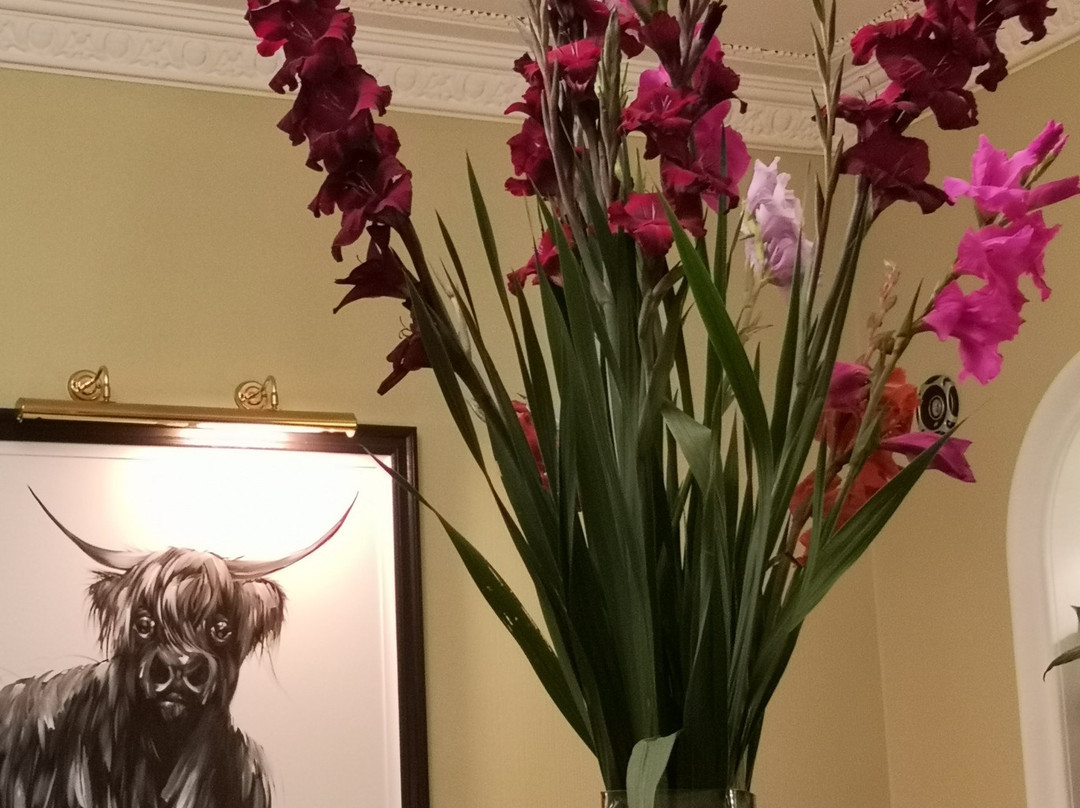 Blackaddie Country House Hotel主图