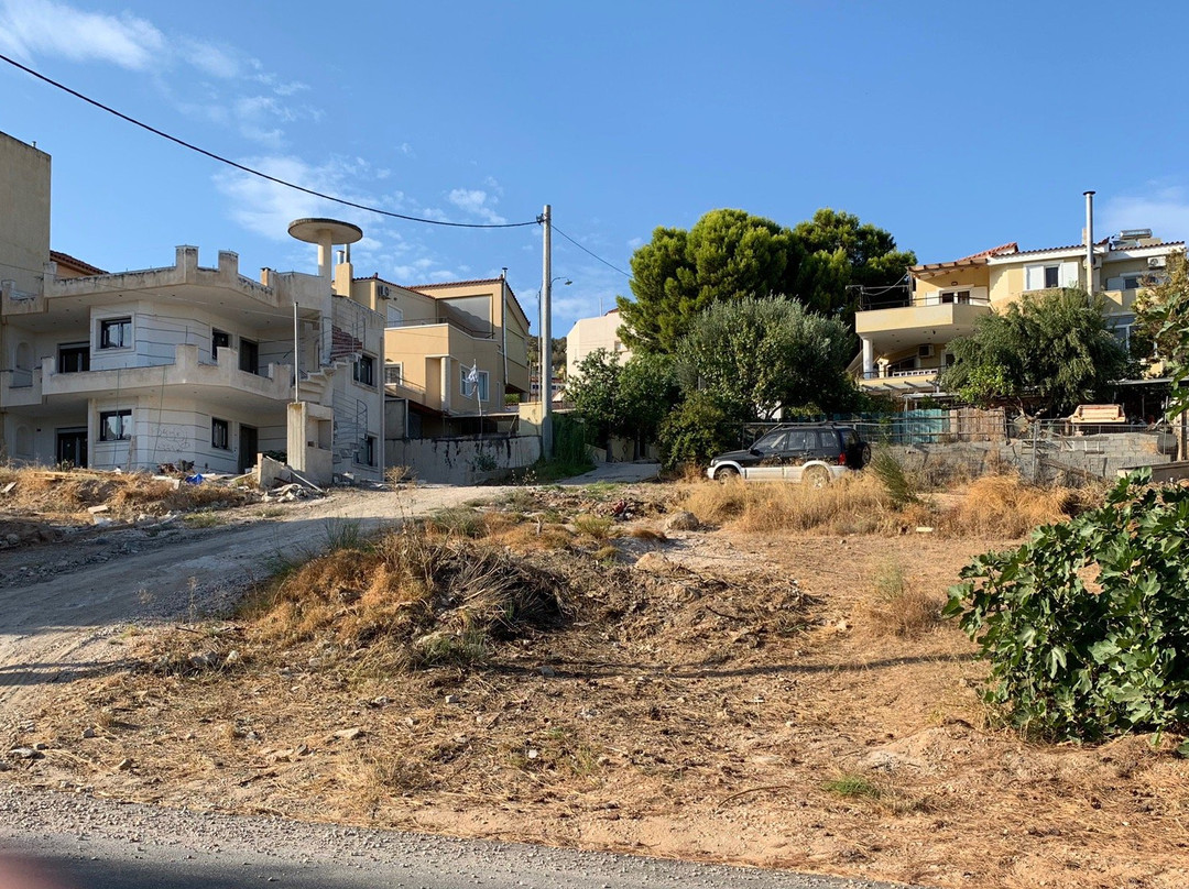 Artemis GreenHill主图