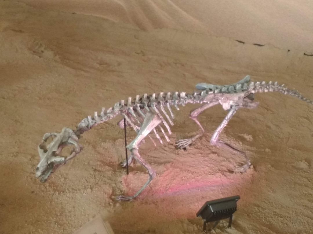 Museu de Arqueologia e Paleontologia (MAPA)-Araraquara必去景点
