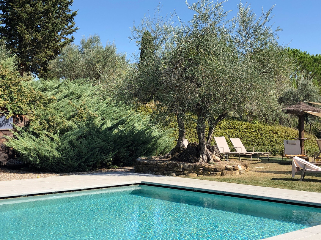 Salvadonica - Borgo Agrituristico del Chianti主图