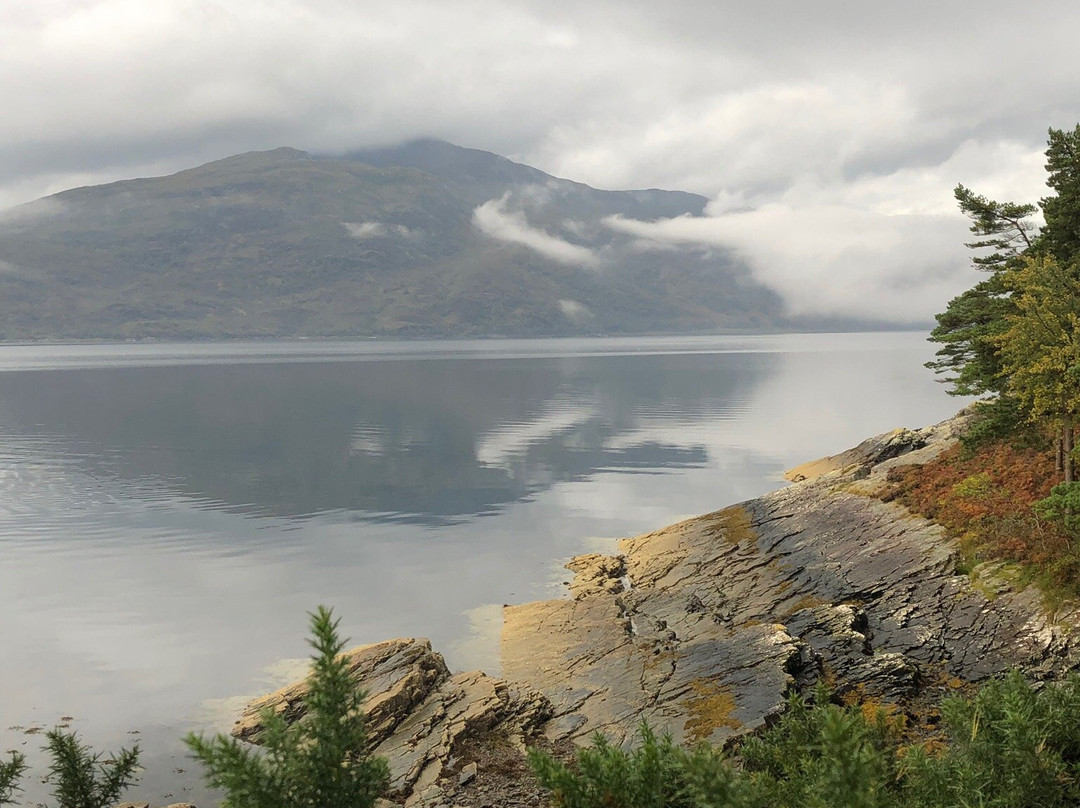Balmacara Estate and Lochalsh Woodland Walks景点图片