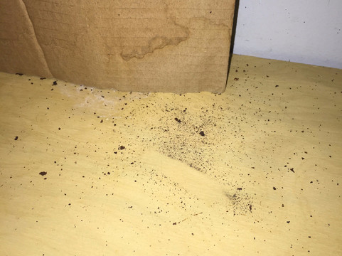 丽丽科伊客栈主图