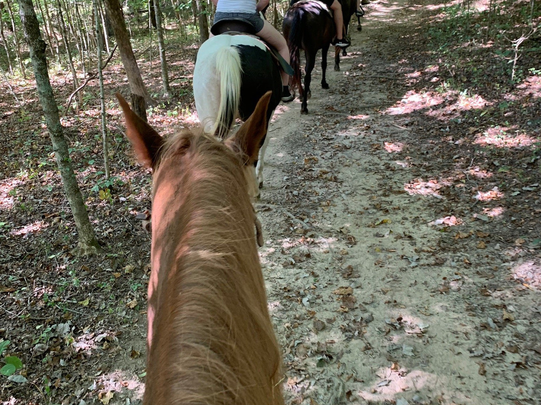 JuRo Stables-Mount Juliet必去景点