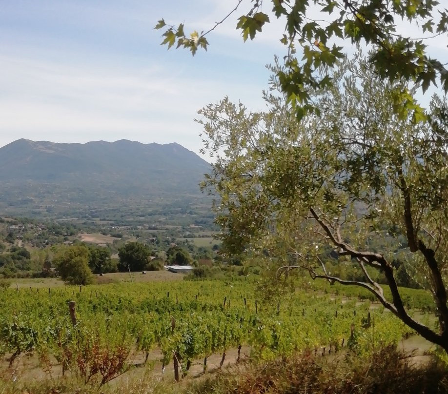 Agriturismo Selvanova主图