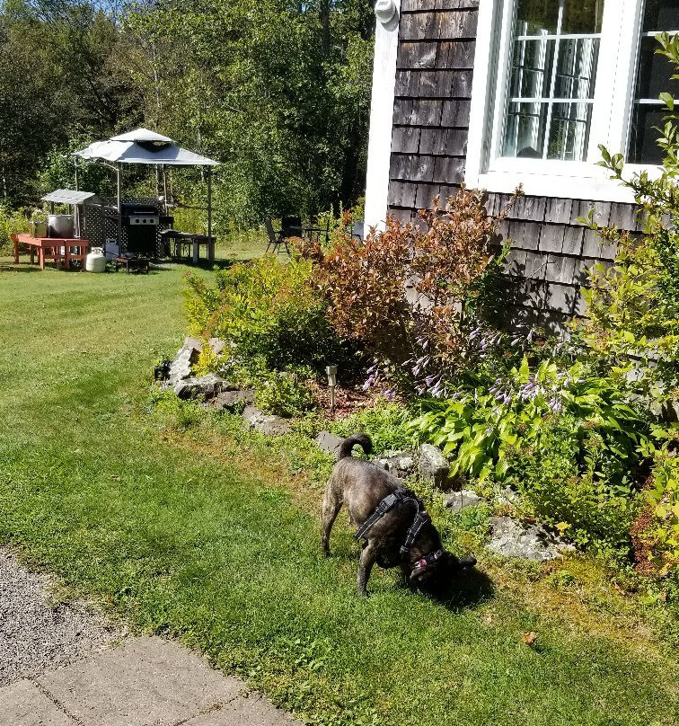 Bocabec Country Garden Cottages