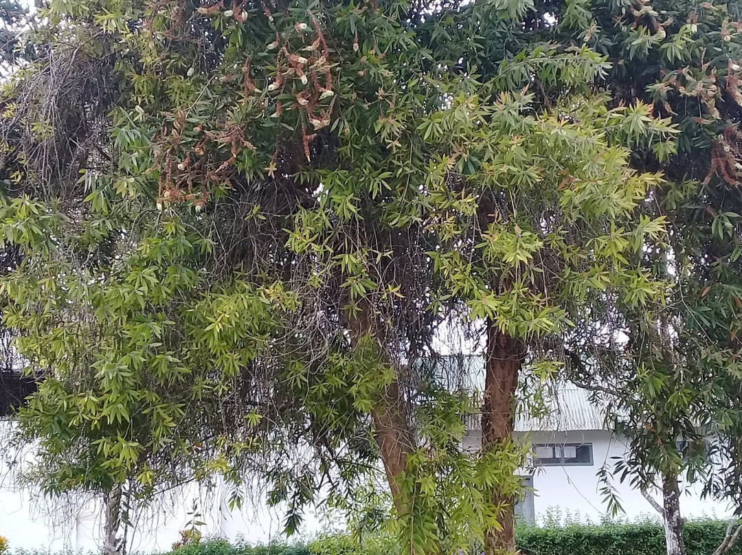 Banyuwangi Ecotourism-巴纽旺宣必去景点