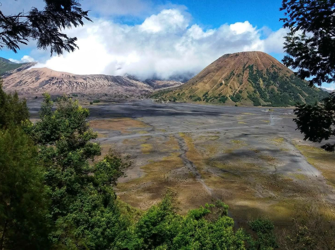 Indoasiatrip-科莫多必去景点