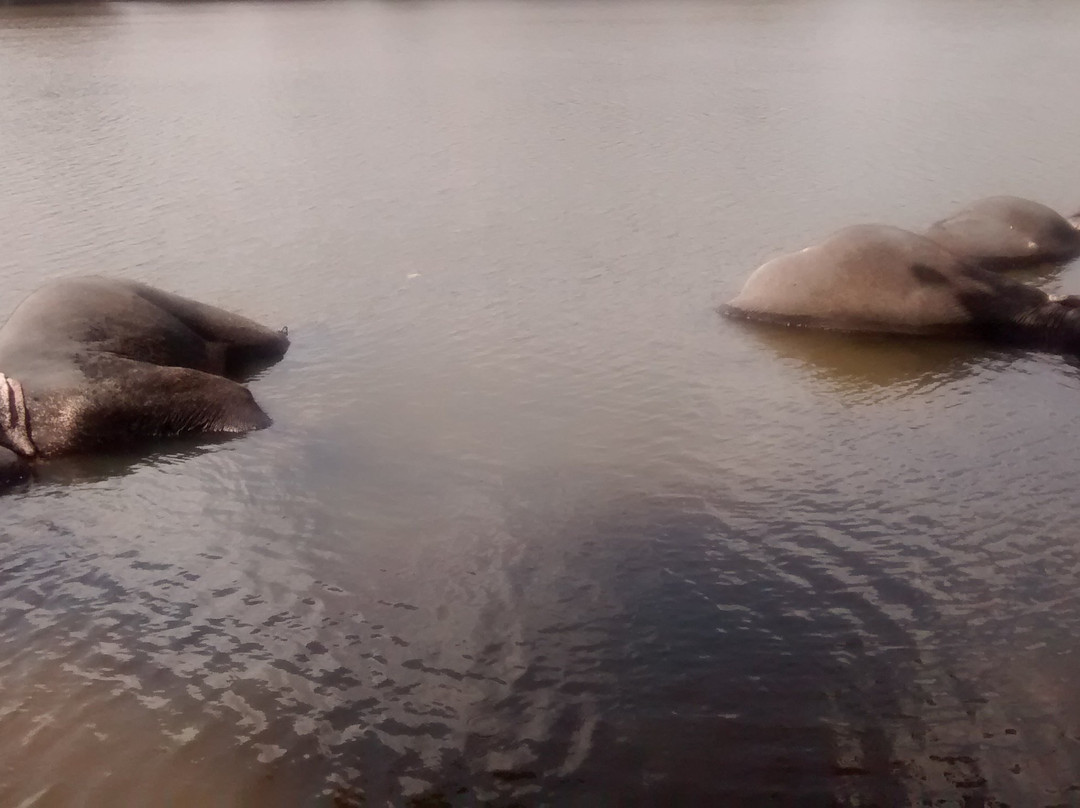 Asya Tours-瓦都瓦必去景点